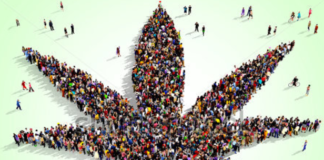 Tone Deaf? “Tough Enforcement” Statement Comes as Public Support for Marijuana Rises Screen Shot 2017 02 24 at 1.03.45 PM