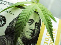 Industry Immediately Fights Back Against Sean Spicer’s Recreational Cannabis Remarks marijuanamoney