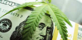 Industry Immediately Fights Back Against Sean Spicer’s Recreational Cannabis Remarks marijuanamoney