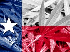 Texas Lawmakers and Law Enforcement Seeking to Decriminalize Marijuana shutterstock 260125715