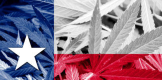 Texas Lawmakers and Law Enforcement Seeking to Decriminalize Marijuana shutterstock 260125715