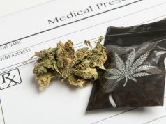 Four State Update: Kansas Considers Medical Marijuana, New Jersey… shutterstock 316097636