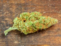 Sheriff: Jeff Sessions May Keep Status Quo for Cannabis Law shutterstock 488541157