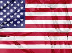 GOP Congressman Rohrabacher Introduces Bill to Keep Feds Out of State Cannabis Law shutterstock 539633893