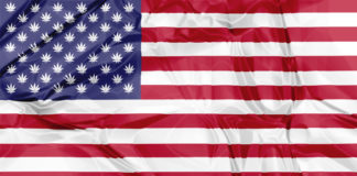 GOP Congressman Rohrabacher Introduces Bill to Keep Feds Out of State Cannabis Law shutterstock 539633893