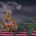 U.S. House Members Create the Congressional Cannabis Caucus shutterstock 563784082 1