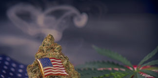 U.S. House Members Create the Congressional Cannabis Caucus shutterstock 563784082 1