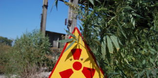 Congressman Trent Franks Claims Nukes Could Be Smuggled in Bales of Marijuana shutterstock 59582404