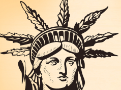 New York Marijuana Industry Continues to Burn Out Screen Shot 2017 03 13 at 1.41.57 PM