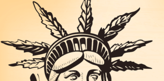 New York Marijuana Industry Continues to Burn Out Screen Shot 2017 03 13 at 1.41.57 PM