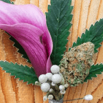 Irie Weddings Helps Arrange Marriages Between Cannabis and Receptions Screen Shot 2017 03 27 at 2.37.49 PM