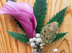 Irie Weddings Helps Arrange Marriages Between Cannabis and Receptions Screen Shot 2017 03 27 at 2.37.49 PM