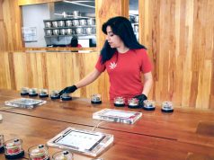 Dispensing Wisdom With Budtender Donna Serrato of MedMen TipJar Donna Medmen 1 cc web