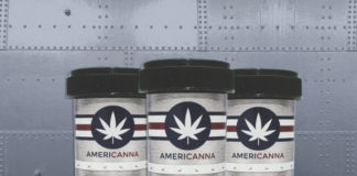 Making Gummies the Americanna Way americanna potleaf gummies 1