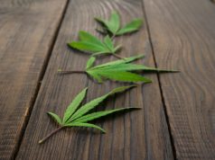 Craft Cannabis Threatened by Oregon Regulations craftcannabis