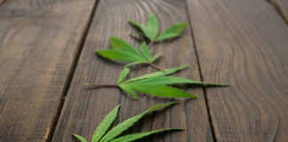 Craft Cannabis Threatened by Oregon Regulations craftcannabis