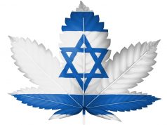 Israeli Lawmakers Vote to Decriminalize Recreational Marijuana shutterstock 120387085