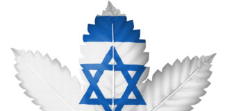 Israeli Lawmakers Vote to Decriminalize Recreational Marijuana shutterstock 120387085