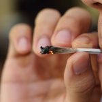 Four State Update: Nevada Considers Public Consumption of Marijuana, Connecticut… shutterstock 394085185