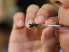 Four State Update: Nevada Considers Public Consumption of Marijuana, Connecticut… shutterstock 394085185