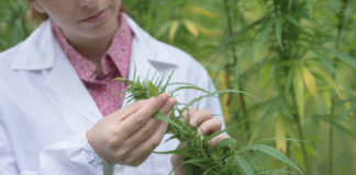 Jeff Sessions: “Maybe Science Will Prove Me Wrong” on Marijuana shutterstock 468875345