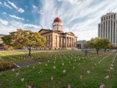 Illinois Lawmakers Consider Recreational Marijuana Bill shutterstock 519034498