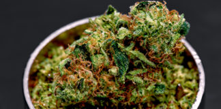 Members of Congress Introduce Bills to Regulate and Protect the Marijuana Industry shutterstock 528556435