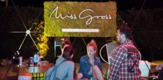 Weedmaps Entertains Thousands During Opening Coachella Weekend miss grass