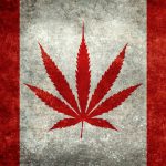 Bills to Legalize Recreational Marijuana Introduced in Canada shutterstock 231524524