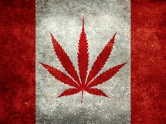 Bills to Legalize Recreational Marijuana Introduced in Canada shutterstock 231524524