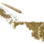 Maryland Opens Registration Process for Medical Marijuana shutterstock 310156562