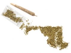 Maryland Opens Registration Process for Medical Marijuana shutterstock 310156562