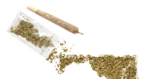 Maryland Opens Registration Process for Medical Marijuana shutterstock 310156562