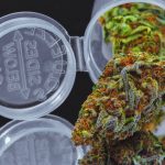 Four State Update: California Police Complain About Gov. Brown’s Pot Plan, Nevada… shutterstock 543465772