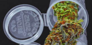 Four State Update: California Police Complain About Gov. Brown’s Pot Plan, Nevada… shutterstock 543465772