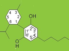 Study shows Benefits of CBD on Rare Form of Epilepsy CBD elemental diagram