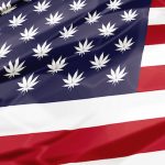 Marijuana’s March on Capitol Hill marijuana flag 539633905