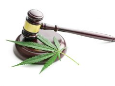 Wisconsin Decriminalization Bill Gets New Support From GOP Member shutterstock 309992177