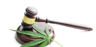 Wisconsin Decriminalization Bill Gets New Support From GOP Member shutterstock 309992177