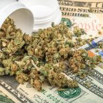 Florida Attorney John Morgan Prepared to Pour Big Bucks into Medical Marijuana shutterstock 519503011