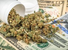 Florida Attorney John Morgan Prepared to Pour Big Bucks into Medical Marijuana shutterstock 519503011