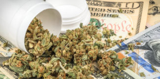 Florida Attorney John Morgan Prepared to Pour Big Bucks into Medical Marijuana shutterstock 519503011