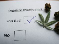 Recreational Marijuana Bill Reaches Vermont Governor’s Desk shutterstock 551244208