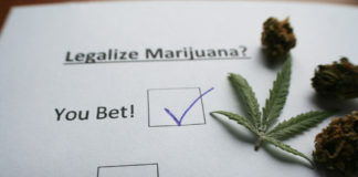 Recreational Marijuana Bill Reaches Vermont Governor’s Desk shutterstock 551244208