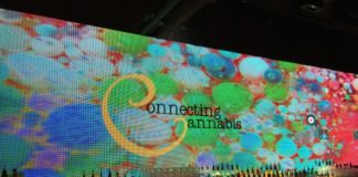 Connecting Cannabis Highlights Industry Advocacy, Nonprofits