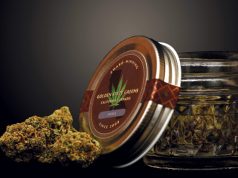 Hippo Premium is a Packaging Heavyweight GoldenStateGreens 2 cc web e1497988164466