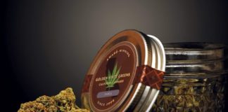 Hippo Premium is a Packaging Heavyweight GoldenStateGreens 2 cc web e1497988164466