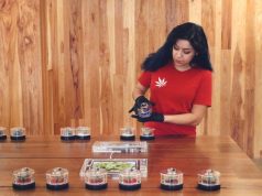 Cannabis Dispensary Provides Employment to Eager Job Seekers budtender MedMen rs