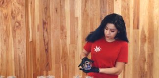 Cannabis Dispensary Provides Employment to Eager Job Seekers budtender MedMen rs