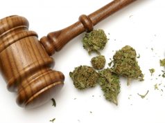 Marijuana Updates: Mass. Lawmakers Approve Recreational Bill, Mexico Legalizes… shutterstock 121570756